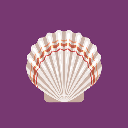 Seashell scallop flat vector illustration on violet backgroundのイラスト素材