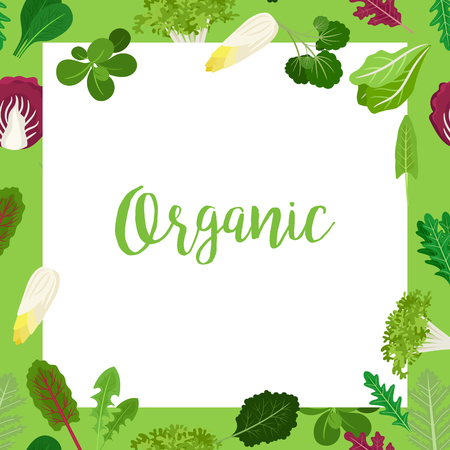 Organic banner with square frame and salad vegetable leaves for cooking design and websites. Vector illustrationのイラスト素材