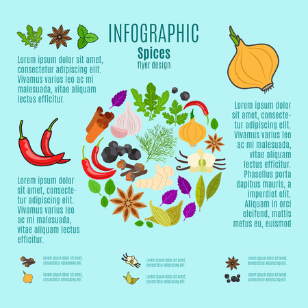 Spices vector infographic design with cartoon icons and textのイラスト素材