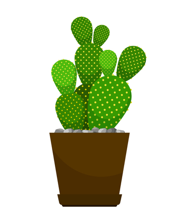 Cactus house plant in flower pot illustration.のイラスト素材