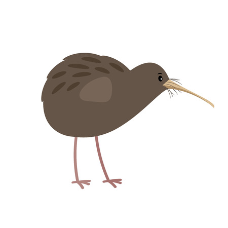 Kiwi cute cartoon bird icon isolated on a plain backgroundのイラスト素材