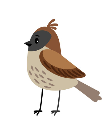 Sparrow funny cartoon bird vector illustrationのイラスト素材