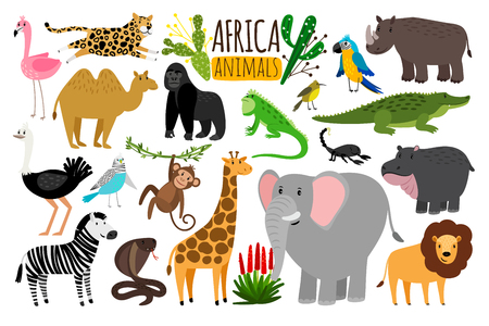 African animals. Various wildlife animals of Africa, vector monkey or marmoset and leopard, parrot and rhinoceros, cobra and ostrich characters isolated on whiteのイラスト素材