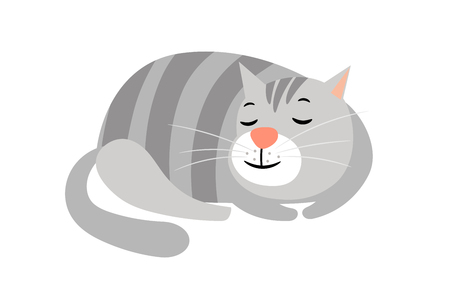 Cute cat. Domestic gray striped cat animal isolated on white, kitten vectorのイラスト素材