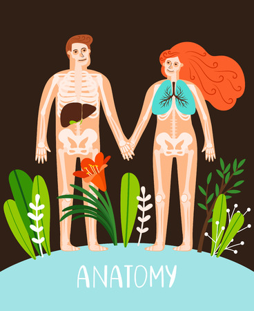 People anatomy poster. Human body systems image, male and female anatomy organs and skeleton vector illustrationのイラスト素材