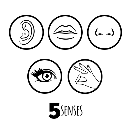 Five senses outline icons vector of set. Mouth and ear, human eye and nose illustrationのイラスト素材