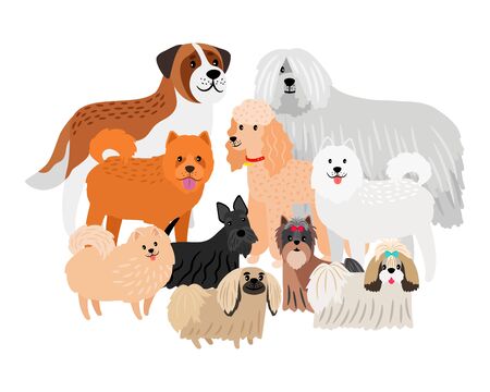 Cartoon character loing hair big and small dogs. Vector pets isolated on white background. Illustration of animal dog cute, pets friendsのイラスト素材