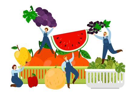 Farmers and fruits. Harvest time vector illustration. Fresh fruits and tiny flat characters. Harvest fruit fresh, healthy natural farmingのイラスト素材
