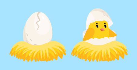 Newborn chick. Cartoon egg and hatched chick with eggshell on head in the nest vector illustration. Eggshell chick in nest, newborn baby birdのイラスト素材