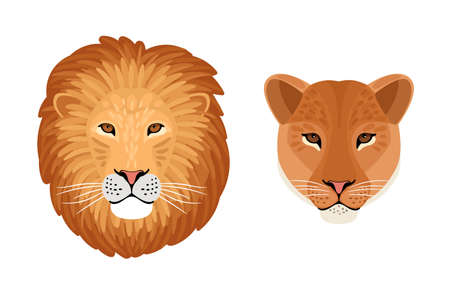Lion head emblems. Cartoon front face of aggressive beasts with redhead fur, symbol of hunting trophy, vector illustration of wild cats isolated on white backgroundのイラスト素材