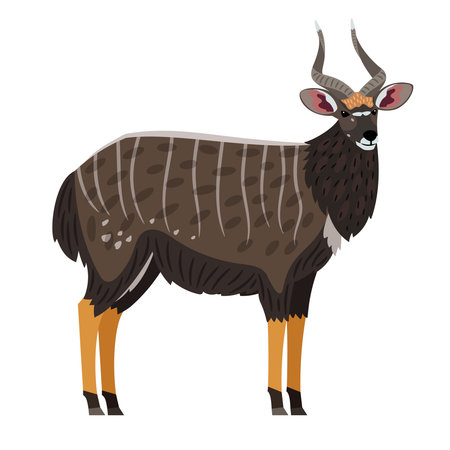 African Antelope. Cartoon gazelle with horns on head, exotic character of zoo, symbol of hunting trophy, vector illustration of hoofed beast of wildlife isolated on white backgroundのイラスト素材