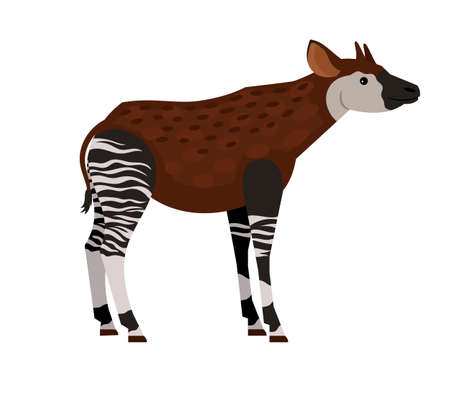 Unique tropical animal. Cartoon exotic beast of wildlife, hoofed animal with horns, vector illustration of okapi isolated on white backgroundのイラスト素材