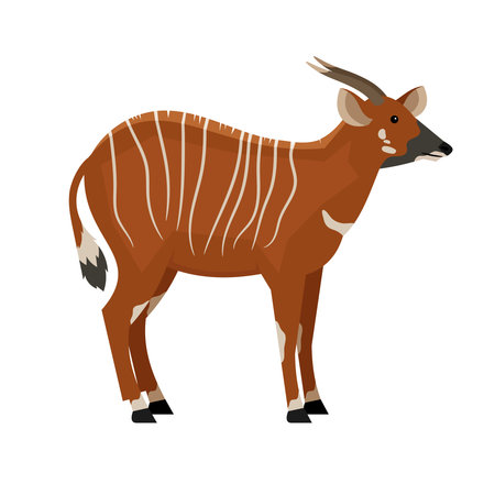 Hoofed animal with horns. Cartoon symbol of hunting, exotic beast of wildlife, vector illustration of eastern bongo isolated on white backgroundのイラスト素材