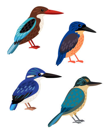 Small colored birds. Cartoon bright flying characters of ornithology, beautiful humming animals of sky, vector illustration set of kingfisher isolated on white backgroundのイラスト素材