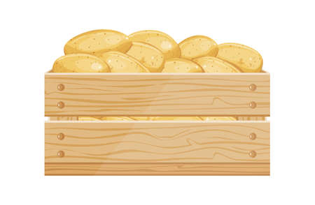 Box of potatoes. Pile of raw potatoes in wooden crate for greengrocer market, cartoon vector illustrationのイラスト素材