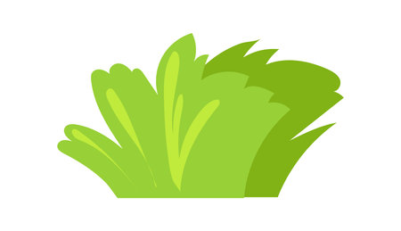 Cartoon grass. Planting green thicket shrub, vector designのイラスト素材