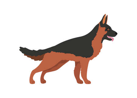 German shepherd. Cartoon adult military dog, vector illustrationのイラスト素材