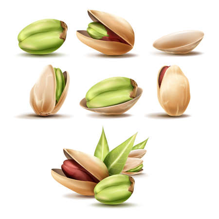 Realistic pistachios. 3D pistachio nut, ripe pistache with leaf, raw natural tasty food, kernel etc natural nuts, vegetarian cooking, tidy vector illustrationのイラスト素材