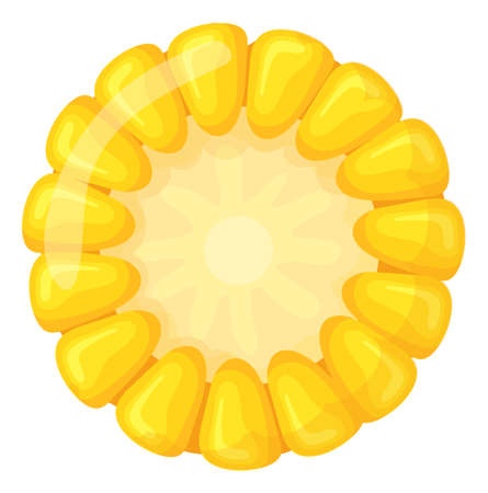 Corn cob cut with yellow ripe kernels in cartoon styleのイラスト素材