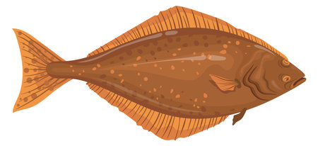 Halibut icon. Fresh product  . Cartoon fishのイラスト素材