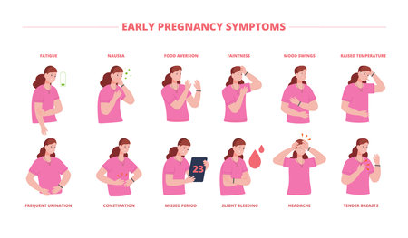 Early pregnancy symptoms. Signs pregnant woman sickness infographic pain spot, problems sick health, breast disease diarrhea bleeding period vomiting, splendid vector illustrationのイラスト素材
