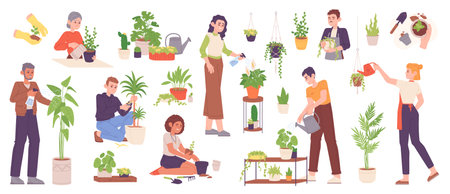 Hobby growing houseplants. Person planting and caring garden plant or grow houseplant in flowerpot, home horticulture concept farm sprout spray leafage, garish vector illustrationのイラスト素材
