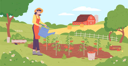 Woman watering tomato. Girl in hat growing vegetables in spring garden, caring gardening plant farming organic food tomatoes village horticultureのイラスト素材