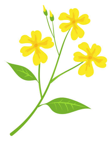 Yellow flowers on green branch. Cartoon floral iconのイラスト素材