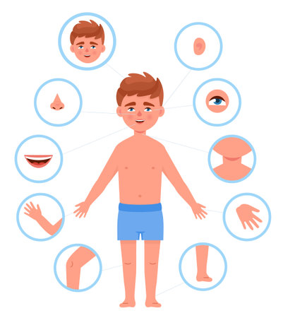Kid body parts. Child anatomy human cutout part school boy organs bodies, children head teenager face nose eye foot chest arm legs healthy baby cartoon neoteric vector illustrationのイラスト素材