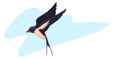Flying bird in blue sky. Free wild swallowのイラスト素材