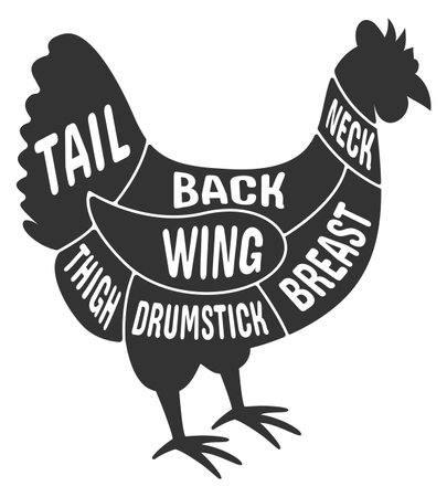 Farm bird cut diagram. Chicken poultry butcher schemeのイラスト素材