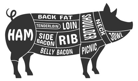 Pork cut diagram in black pig silhoutte. Butcher schemeのイラスト素材