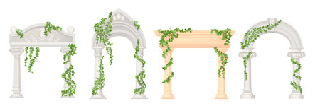 Ivy arches. Historic gardens arc with marble pillar, wedding gate old castle entrance, arch with vines green creeper portal in rome palace or temple ingenious vector illustrationのイラスト素材