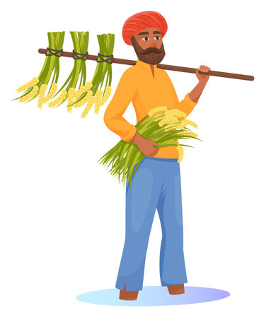 Indian man harvesting rice. Traditional asian agricultureのイラスト素材