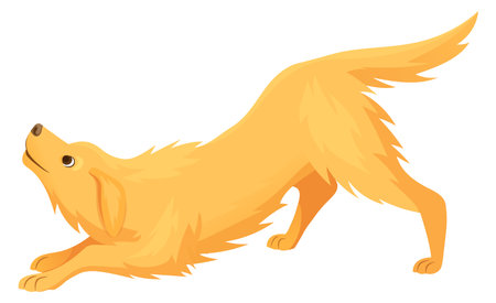 Playful dog character. Funny golden retriever petのイラスト素材
