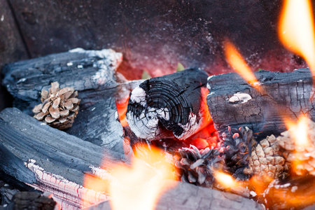 fire in nature . Bonfire in the forest closeupの写真素材