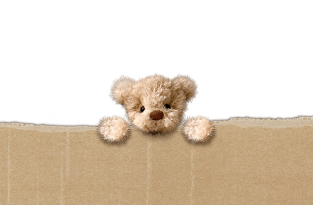 toy fluffy bear teddy, isolated white background.の写真素材