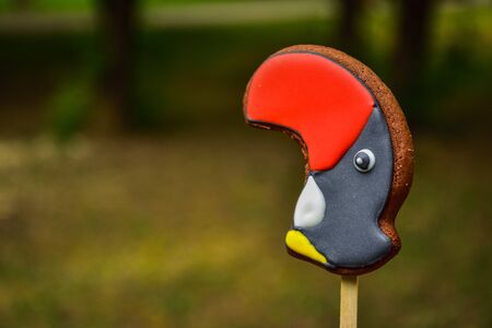 gingerbread toucan, gingerbread on stick coated with icing, red-black gingerbread, sweetness with icingの写真素材