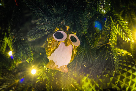 Christmas toy in the shape of an owl on branch, toy on Christmas tree branchの写真素材