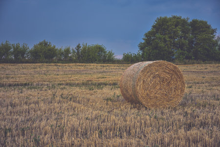 round haystack against the sky, harvesting