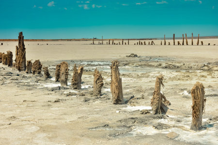 Stunning, white salt desert or salt lake. remains of a wooden building in a salt lake. dried up salt...