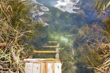 stairs leading into the water overgrown with algaeの写真素材