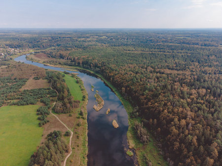 Flight over the river, river in the forest from a bird eye view, top view