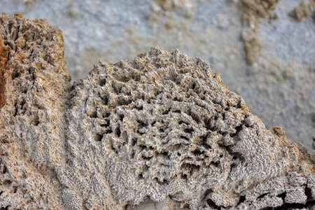 therapeutic mud in dried salt lake, salt lake, bottom of salt lakeの写真素材