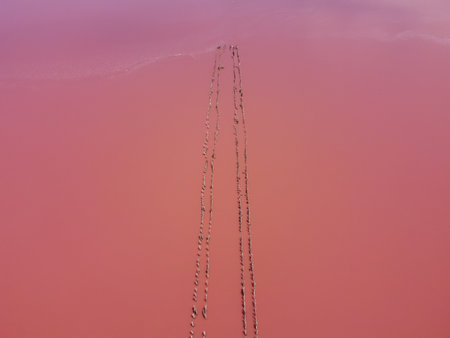wooden piers in salt lake, wooden remains in pink lakeの写真素材