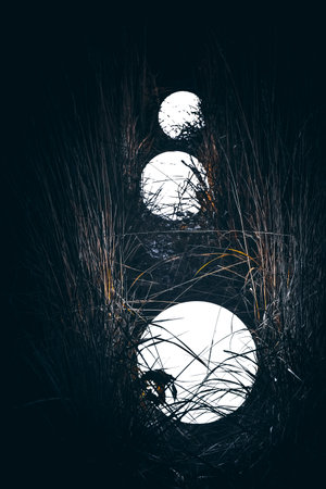 Bright ball in grass, white ball glows in grass, closeup round lampの写真素材