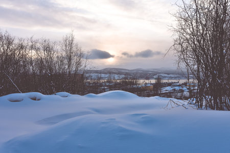 Winter in a spruce forest, spruces covered with white fluffy snow. selective focus. Winter Landscape...