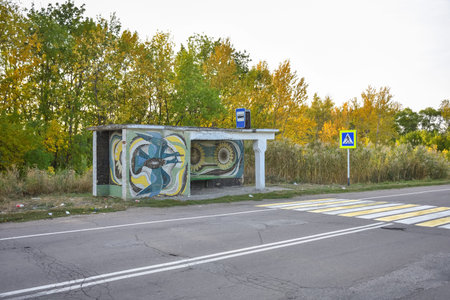 A bus stop with a mural on the wall. The mural is of birds and a sunflower