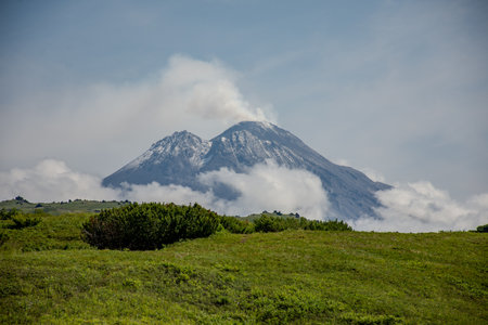 volcano with a clear blue sky in the background. The mountain is covered in snow and the grass is lush and greenの写真素材