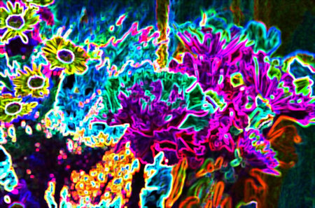 Flowers with major alteration in .の写真素材